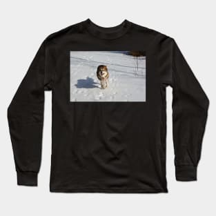 Freyja running free Long Sleeve T-Shirt